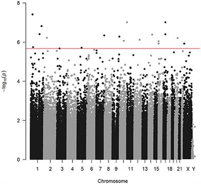 Short-term exposure to fine particulate matter and genome-wide DNA methylation in chronic obstructive pulmonary disease: A panel study conducted in Beijing, China